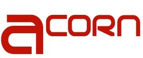 acorn-driving-car-driving-lessons-in-woking-big-0