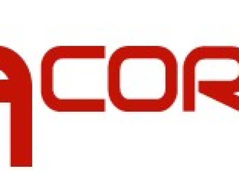 acorn-driving-car-driving-lessons-in-woking