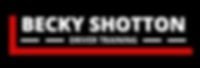 becky-shotton-driver-training-car-driving-lessons-in-winchester-big-0