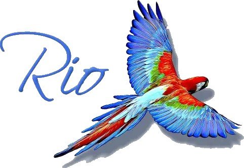 rio-driving-school-car-driving-lessons-in-walsall-big-0