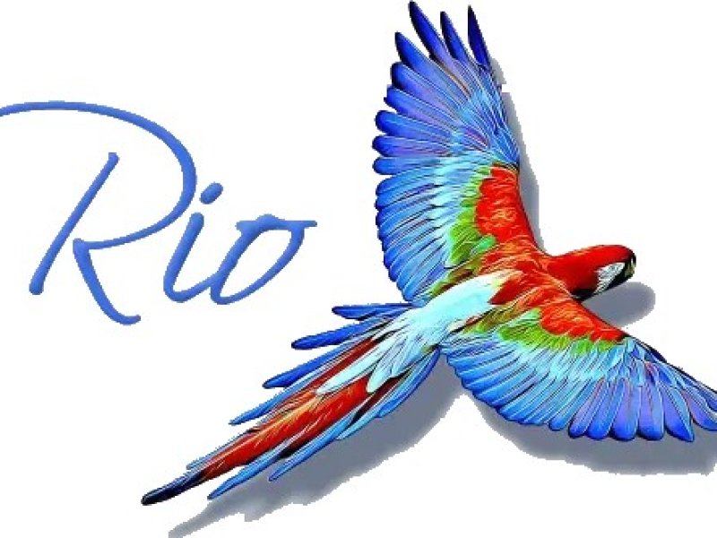 rio-driving-school-car-driving-lessons-in-walsall