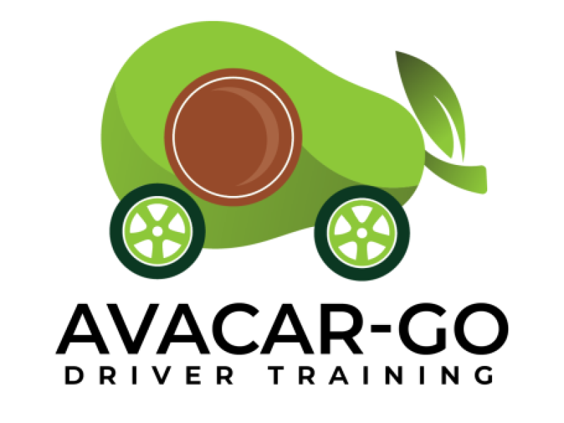 avacar-go-driver-training