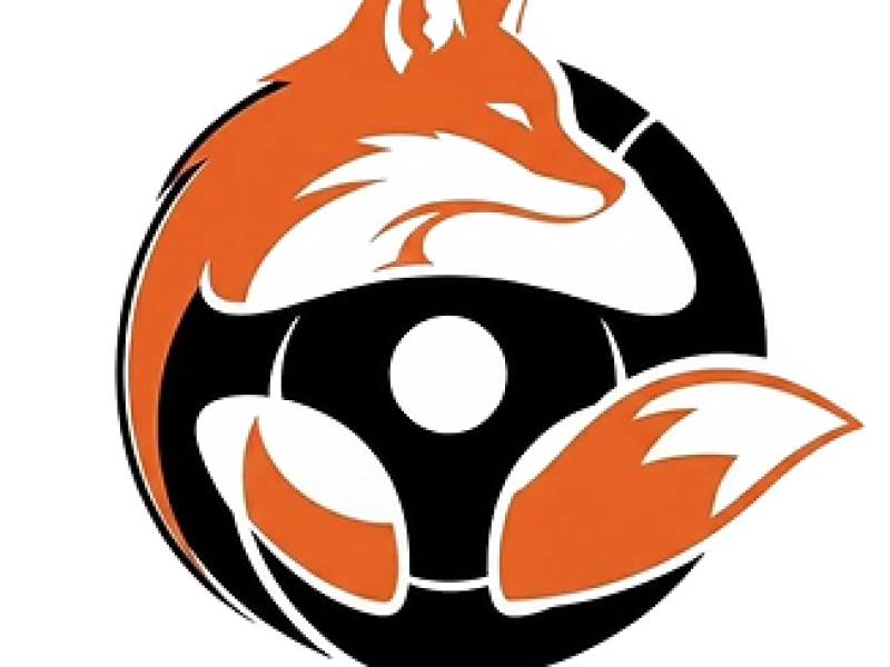 fox-academy-of-motoring-car-driving-lessons-in-lisburn