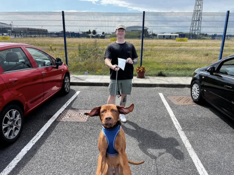 drive-now-driving-school-car-driving-lessons-in-southampton