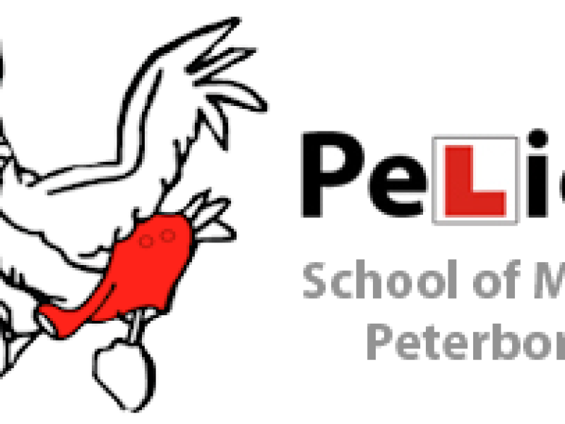 pelican-school-of-motoring-car-driving-lessons-in-peterborough