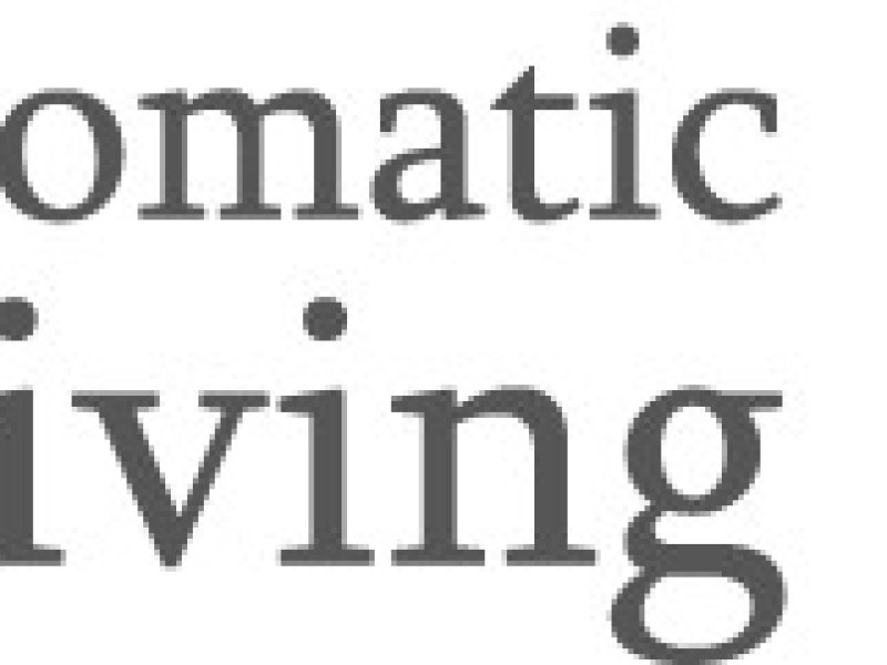 jds-automatic-driving-school-car-driving-lessons-in-guildford